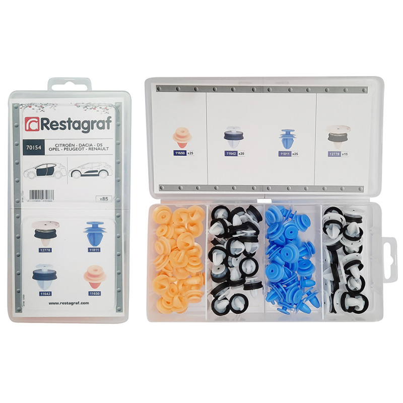 MINI-COFFRET D'ASSORTIMENT D'AGRAFES DE PANNEAUX ET MOULURES TYPE CITROËN DACIA DS OPEL PEUGEOT RENAULT VAUXHALL