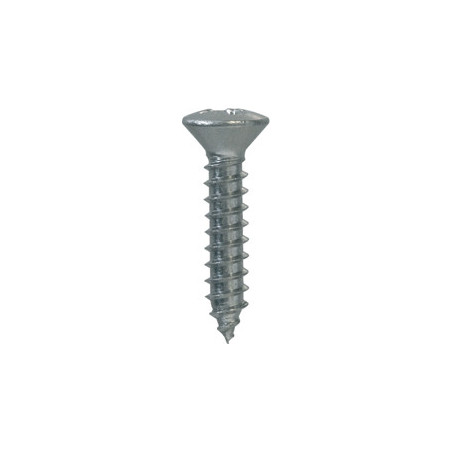 STAINLESS STEEL POZIDRIV RAISED COUNTERSUNK HEAD SELF TAPPING SCREW Ø 3,9 X 19 mm DIN 7983