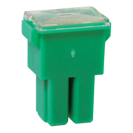 AS TYPE FEMALE JAPANESE FUSE 40A