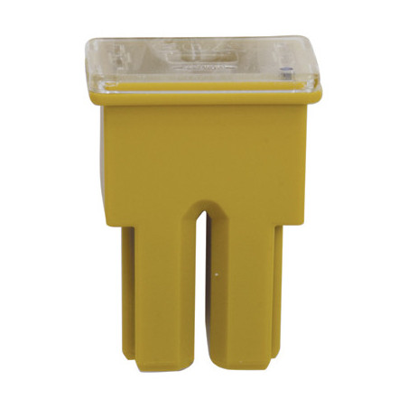 AS TYPE FEMALE JAPANESE FUSE 60A