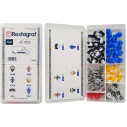 MINI-COFFRET D'ASSORTIMENT D'AGRAFES DE MOULURES TYPE VU FIAT - NISSAN - OPEL - RENAULT