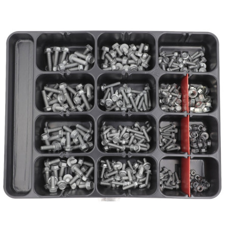 ASSORTMENT TRAY OF HEXAGON FLANGE SCREWS AND FLANGE NUTS