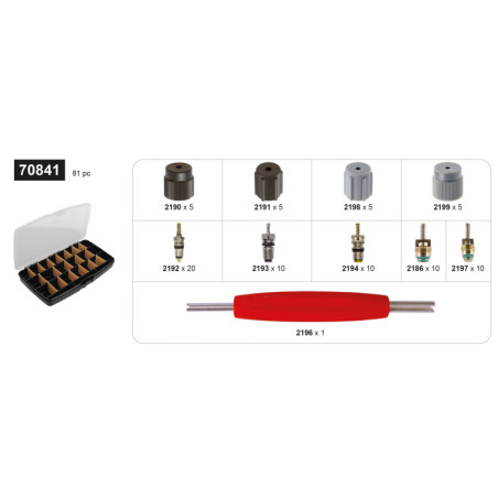 COFFRET D'ASSORTIMENTS DE VALVES DE CLIMATISATION