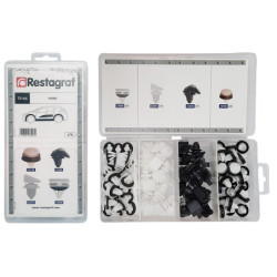 MINI-COFFRET D'ASSORTIMENT D'AGRAFES DE MOULURES TYPE FORD