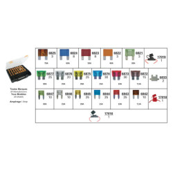 ASSORTMENT BOX OF FUSES AND FUSE HOLDERS 7,5A → 70A