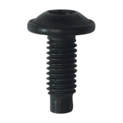 RONDE BREDE SCHROEF MET ZESKANTKOP ZWART ZINK M6-1.00 X 16 mm CARROSSERIE