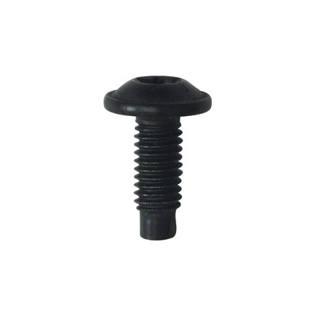 RONDE BREDE SCHROEF MET ZESKANTKOP ZWART ZINK M6-1.00 X 16 mm CARROSSERIE