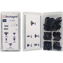 MINI-COFFRET D'ASSORTIMENT D'AGRAFES DE BOUCLIERS ET AILES TYPE VU FIAT - NISSAN - OPEL - RENAULT