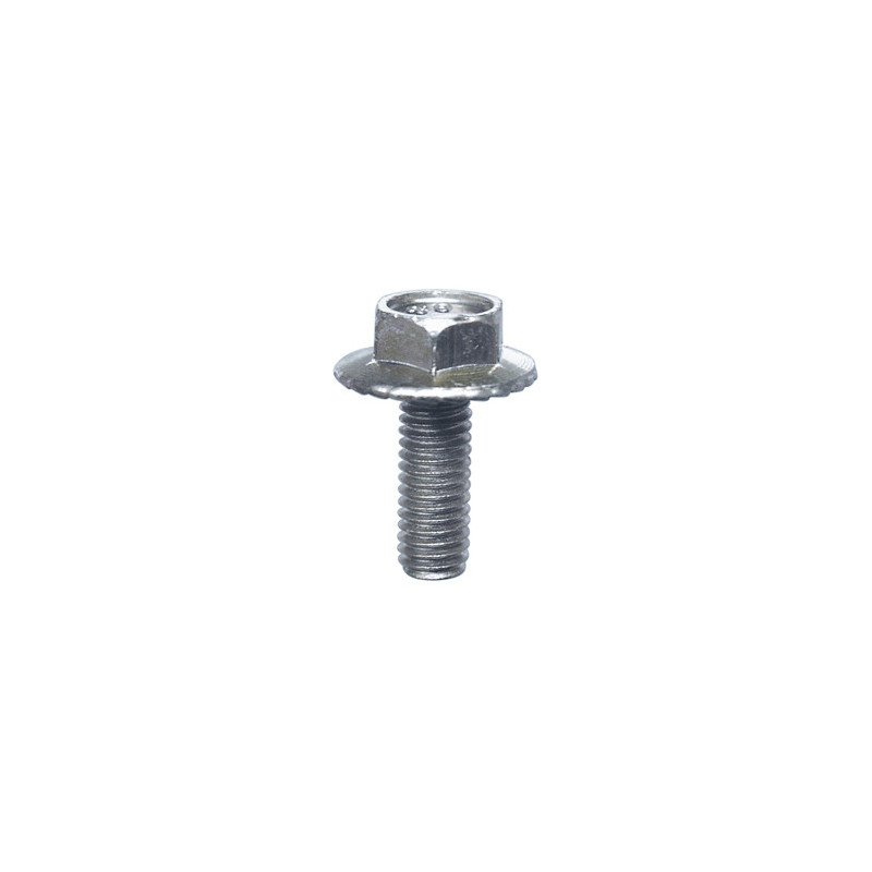 HEXAGON SERRATED FLANGE SCREW M6-1.00 X 16 mm