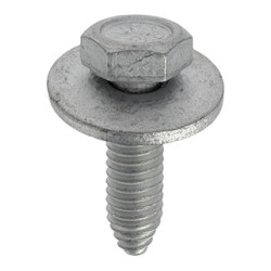 SCHROEF MET ZESKANTKOP EN SLUITRING M6-1.00 X 20 mm