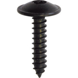BLACK ZINC PLATED TRUSS HEAD SELF TAPPING SCREW Ø 4,2 X 19 mm INTERIOR AND EXTERIOR TRIM
