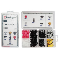 MINI-COFFRET D'ASSORTIMENT D'AGRAFES DE PANNEAUX, MOULURES ET RIVETS PLASTIQUES TYPE HYUNDAI KIA