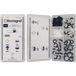 MINI-COFFRET D'ASSORTIMENT D'AGRAFES DE PANNEAUX TYPE VU CITROËN - FIAT - OPEL - PEUGEOT - TOYOTA