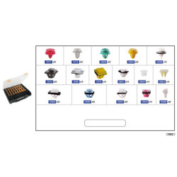 ASSORTMENT BOX OF DOORS AND TAILGATES CLIPS - HYUNDAI - KIA