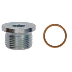 DRAIN PLUG AND SEALING RING M22-1,5 X 14 mm