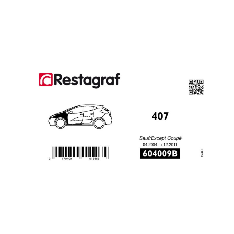 Fasteners kit for front fender 407 All versions except Coupe 04.2004 → 12.2011