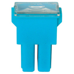 AS TYPE FEMALE JAPANESE FUSE 20A