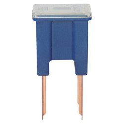 JAPANSE ZEKERING MANNELIJK TYPE B  100A