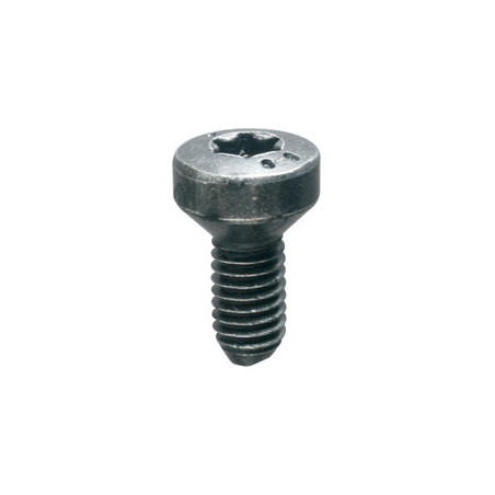 VIS À MÉTAUX TÊTE FRAISÉE ZN NOIR M6-1.00 X 18 mm SERRURE DE PORTE