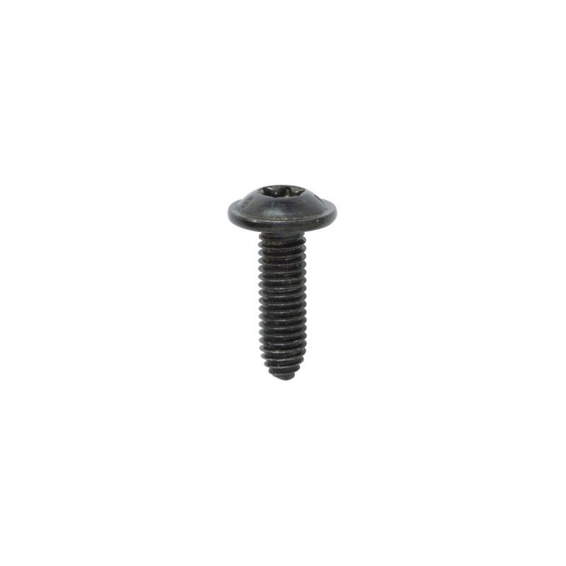 RONDE BREDE SCHROEF MET ZESKANTKOP ZWART ZINK M6-1.00 X 20 mm