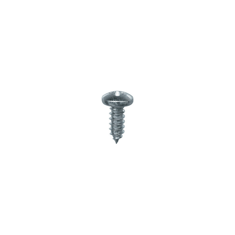 VIS À TÔLE TÊTE CYLINDRIQUE BOMBÉE POZI ZN BLANC Ø 4,8 X 13 mm DIN 7981
