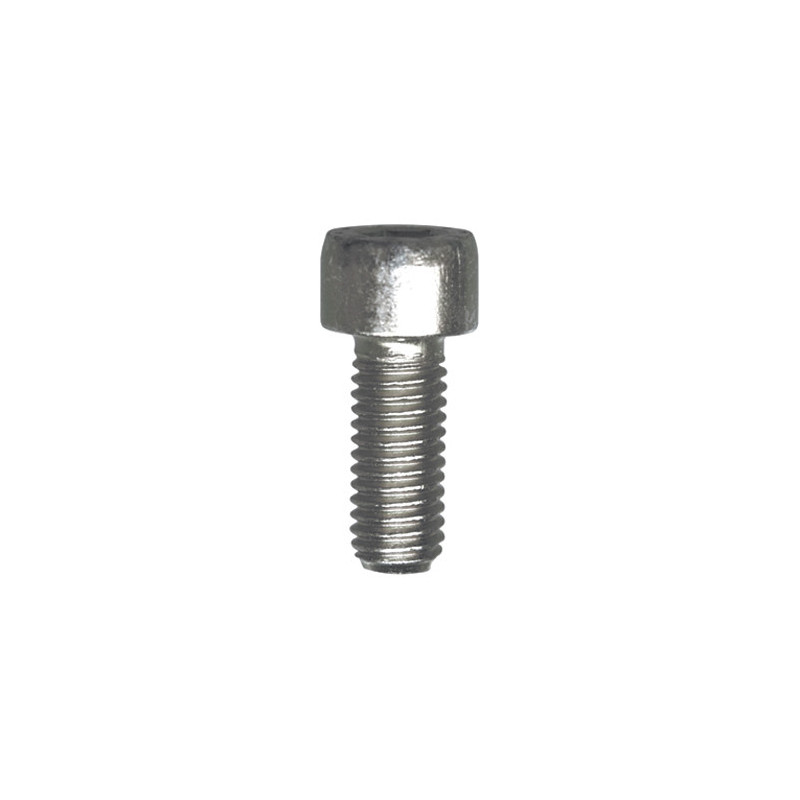 CILINDERKOPSCHROEF MET BINNENZESKANT MET LAGE KOP CL8.8 WIT ZINK M8-1.25 X 20 mm DIN 912
