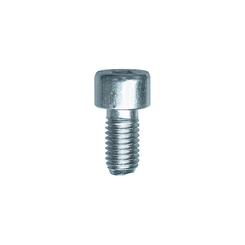 CILINDERKOPSCHROEF MET BINNENZESKANT MET LAGE KOP CL8.8 WIT ZINK M10-1.50 X 20 mm DIN 912