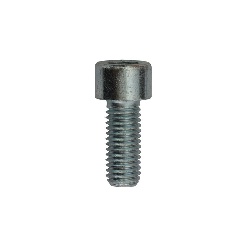 CILINDERKOPSCHROEF MET BINNENZESKANT MET LAGE KOP CL8.8 WIT ZINK M10-1.50 X 25 mm DIN 912