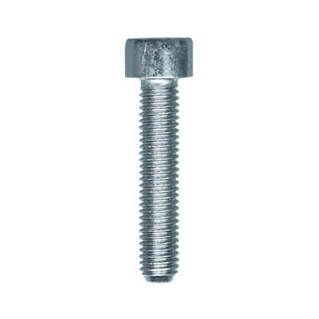 VIS À MÉTAUX TÊTE CHC CL8.8 ZN BLANC M5-0.80 X 25 mm DIN 912