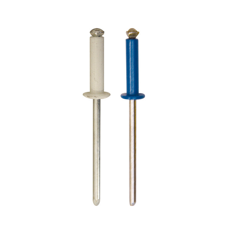 ASSORTMENT OF PAINTED PEELED RIVETS Ø 4 X 26 mm NUMBERPLATE