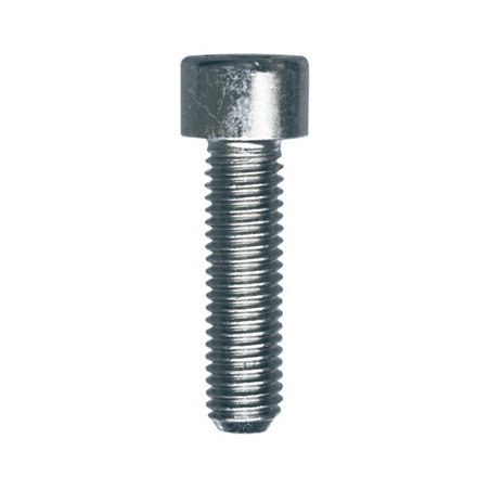 CILINDERKOPSCHROEF MET BINNENZESKANT MET LAGE KOP CL8.8 WIT ZINK M8-1.25 X 30 mm DIN 912