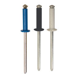 ASSORTMENT OF PAINTED PEELED RIVETS Ø 4 X 16 mm NUMBERPLATE