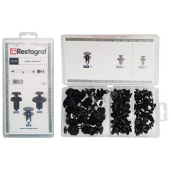 MINI-COFFRET D'ASSORTIMENT DE RIVETS PLASTIQUES TYPE DACIA RENAULT