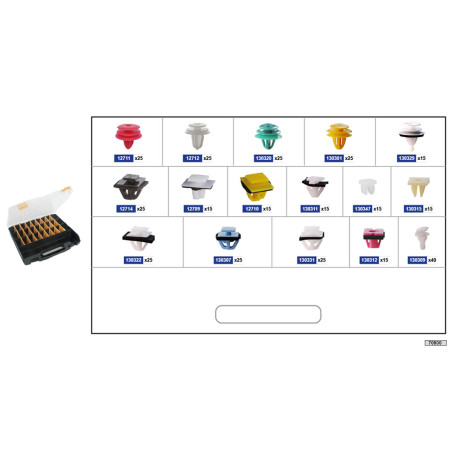COFFRET D'ASSORTIMENT D'AGRAFES DE PORTES ET HAYONS - HYUNDAI - KIA