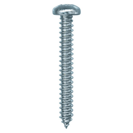VIS À TÔLE TÊTE CYLINDRIQUE BOMBÉE POZI ZN BLANC Ø 4,8 X 38 mm DIN 7981