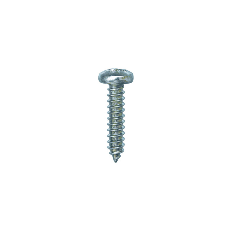ZELFTAPPENDE SCHROEF MET GEWELFDE CILINDERKOP WIT ZINK Ø 5,5 X 25 mm DIN 7981