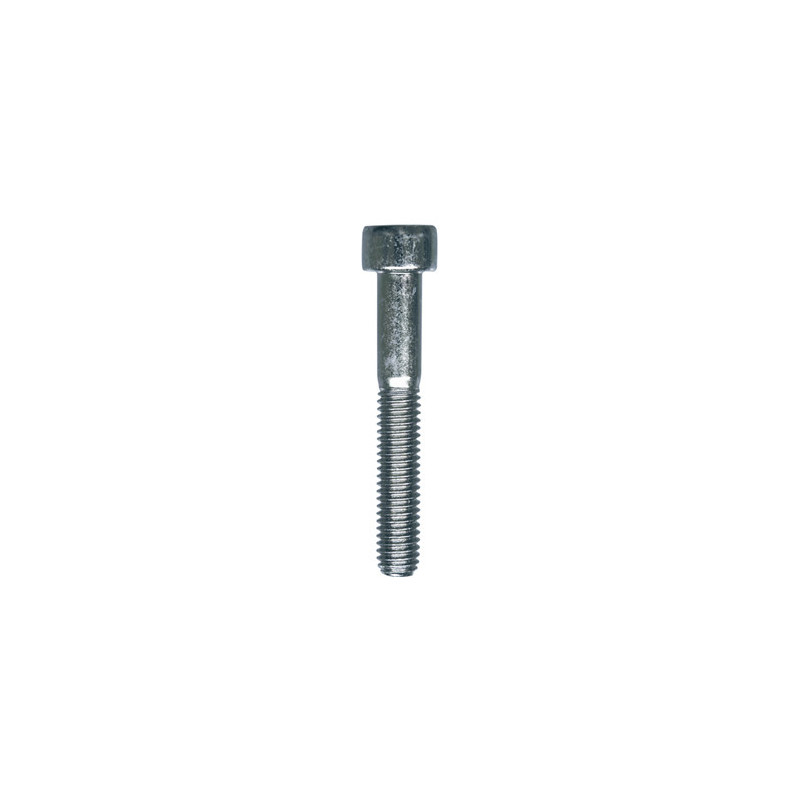 CILINDERKOPSCHROEF MET BINNENZESKANT MET LAGE KOP CL8.8 WIT ZINK  M6-1.00 X 40 mm DIN 912 MET GEDEELTELIJKE SCHROEFDRAAD