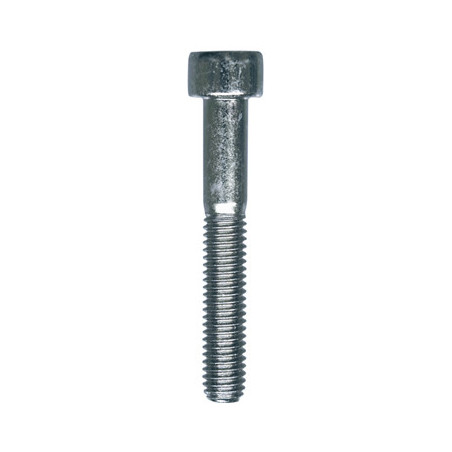 CILINDERKOPSCHROEF MET BINNENZESKANT MET LAGE KOP CL8.8 WIT ZINK  M6-1.00 X 40 mm DIN 912 MET GEDEELTELIJKE SCHROEFDRAAD