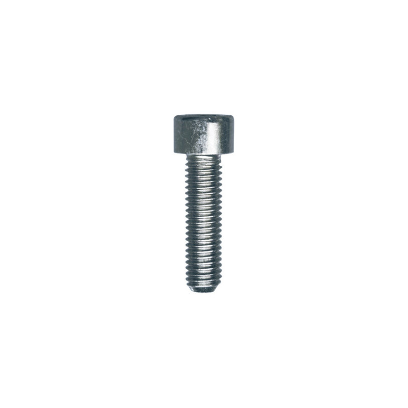 CILINDERKOPSCHROEF MET BINNENZESKANT MET LAGE KOP CL8.8 WIT ZINK M8-1.25 X 30 mm DIN 912