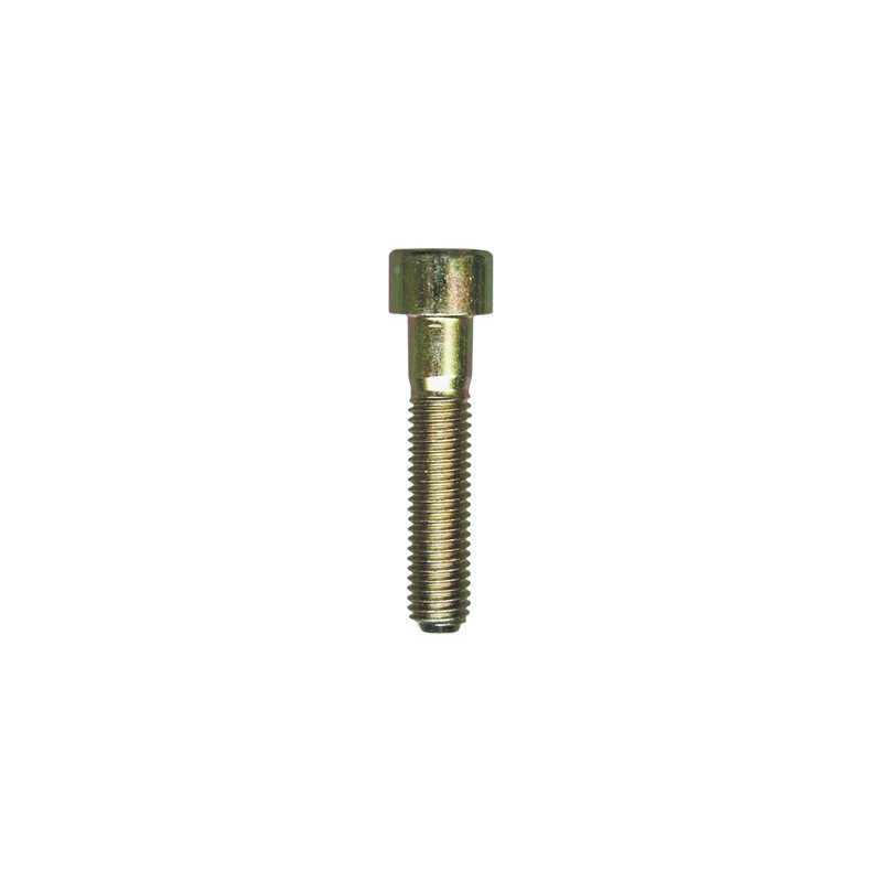CILINDERKOPSCHROEF MET BINNENZESKANT MET LAGE KOP CL8.8 WIT ZINK  M8-1.25 X 40 mm DIN 912 MET GEDEELTELIJKE SCHROEFDRAAD
