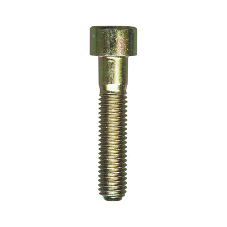 CILINDERKOPSCHROEF MET BINNENZESKANT MET LAGE KOP CL8.8 WIT ZINK  M8-1.25 X 40 mm DIN 912 MET GEDEELTELIJKE SCHROEFDRAAD