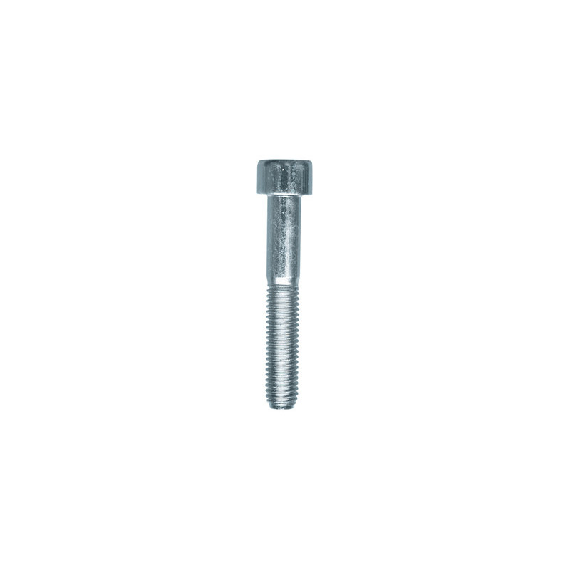 CILINDERKOPSCHROEF MET BINNENZESKANT MET LAGE KOP CL8.8 WIT ZINK  M8-1.25 X 50 mm DIN 912 MET GEDEELTELIJKE SCHROEFDRAAD