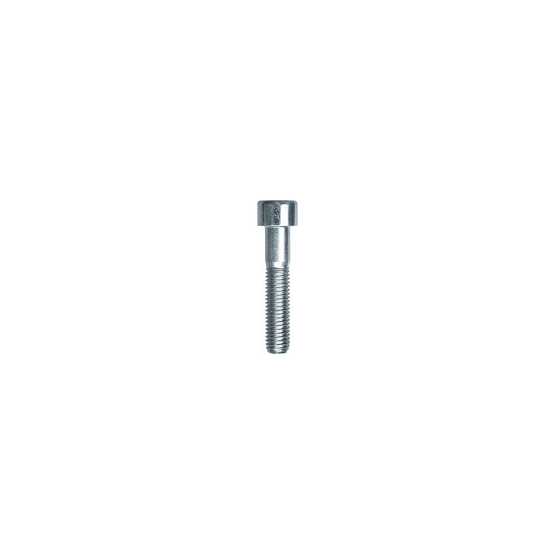 CILINDERKOPSCHROEF MET BINNENZESKANT MET LAGE KOP CL8.8 WIT ZINK  M10-1.50 X 50 mm DIN 912 MET GEDEELTELIJKE SCHROEFDRAAD