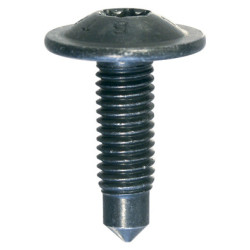 SCHROEF MET BREDE GEWELFDE CILINDRISCHE ZESKANTKOP  M8-1.25 X 26,5 mm PORTIERSCHARNIER