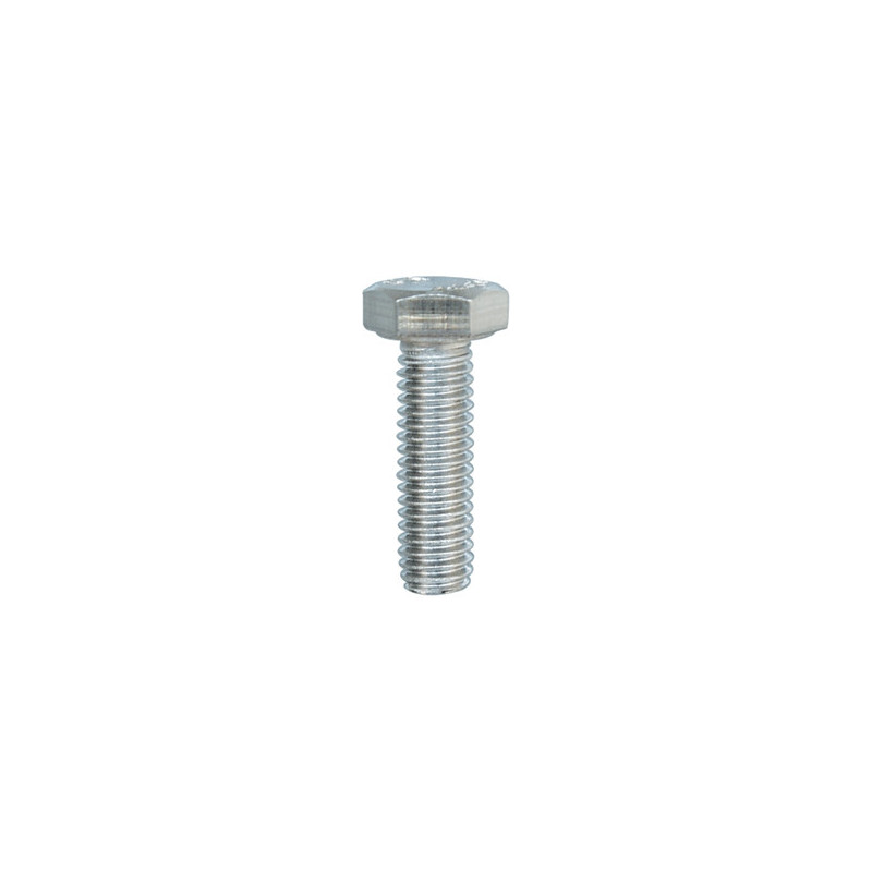 METAALSCHROEF MET ZESKANTKOP INOX A4 M6-1.00 X 20 mm DIN 933