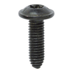RONDE BREDE SCHROEF MET ZESKANTKOP ZWART ZINK M6-1.00 X 20 mm