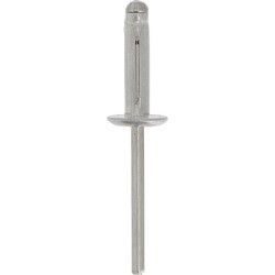 ALUMINIUM GELAKTE SLAGNAGEL MET BREDE KOP  Ø 4,8 X 19,8 mm