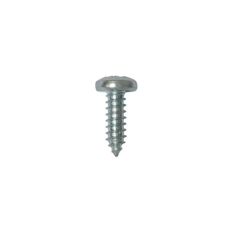 ZELFTAPPENDE SCHROEF MET GEWELFDE CILINDERKOP WIT ZINK Ø 6,3 x 19 mm DIN 7981