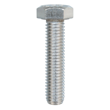 METAALSCHROEF MET ZESKANTKOP INOX A4 M8-1.25 X 35 mm DIN 933