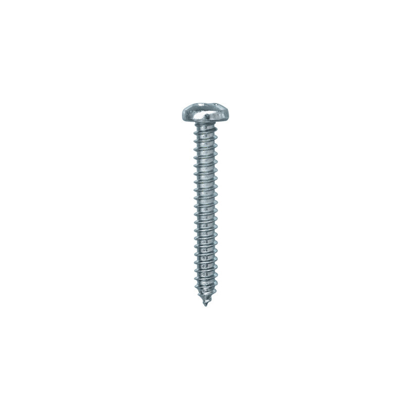 ZELFTAPPENDE SCHROEF MET GEWELFDE CILINDERKOP WIT ZINK Ø 4,2 X 32 mm DIN 7981
